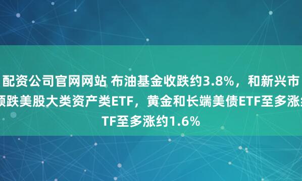 配资公司官网网站 布油基金收跌约3.8%,和新兴市场ETF领跌美股大类资产类ETF,黄金和长端美债ETF至多涨约1.6%