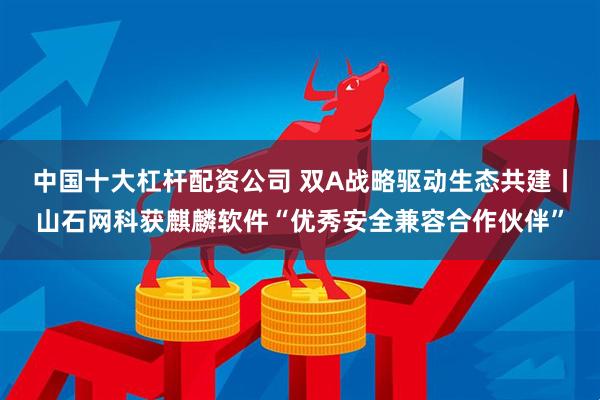 中国十大杠杆配资公司 双A战略驱动生态共建丨山石网科获麒麟软件“优秀安全兼容合作伙伴”