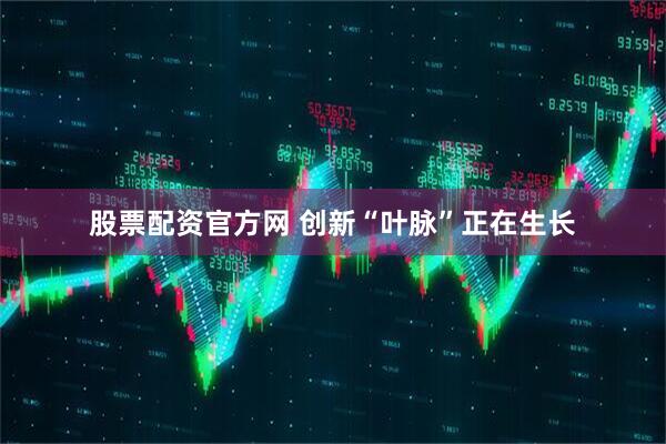 股票配资官方网 创新“叶脉”正在生长